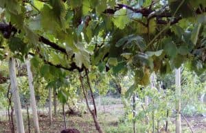 Уникални етнографски проучвания в Бъта по проект „Вече знам и мога повече“