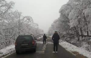 Дърво падна на пътя за Вакарел и блокира автобус и няколко коли