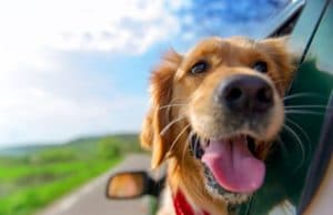 Какво ще е времето в петък?