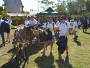 Багер, магарето Събка и над 50 доброволци чистиха в село Бъта