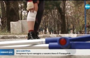 Бездомно куче нападна и жестоко нахапа 33-годишна жена в Пазарджик