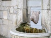 Емблематичен символ за панагюрци грейна с нова „Меча глава“