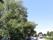 В областта: 1434 нарушения, 246 фиша и 213 акта след полицейската акция