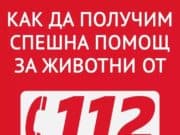 Вижте как да подадете сигнал за насилие над животни