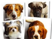 Промяна в програмата на киното за неделя, 28 юли