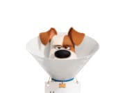 Вижте програмата на кино „Модерен театър“