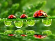 Времето днес: Между 25 и 30 градуса