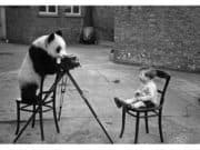 19 август: Отбелязваме Световния ден на фотографията