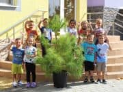 Общината дари дръвчета