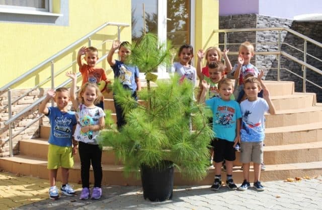 Общината дари дръвчета