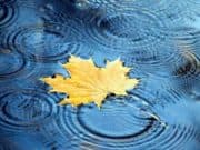 Ето какво време ни очаква днес захлаждане облачно