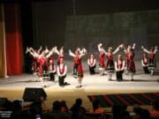 средногорска жарава