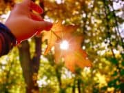 Какво е време ни очаква през почивните дни? топъл есенен ден време