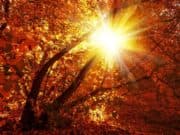Слънчево и топло ще бъде и днес Топъл есенен ден