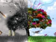 околната среда