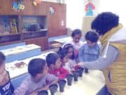 Ученици засадиха дръвчета за Деня на християнското семейство дръвчета