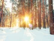 Какво ще е времето на 7 януари?