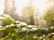 Какво ще е времето в понеделник