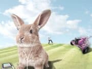 А понеделникът е всъщност приказка: „Заекът и неговата мечта“