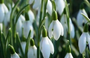 Януари си отива с облаци, февруари идва с пролетни температури