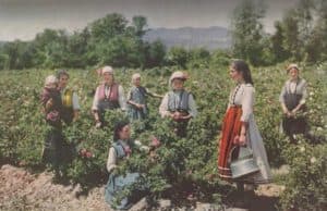 91-годишен брой на National Geographic с уникални снимки на България от 1932 г.