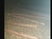 Читателски сигнал: Сеч в боровата гора над параклиса „Св. Богородица“