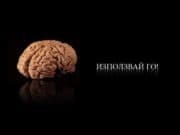 Днес отбелязваме Световния ден на мозъка