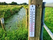 Климатолози: Топлата зима не носи нищо добро