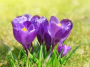 Kaкво ще е времето в началото на новата седмица