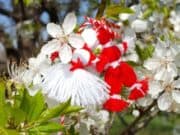 Баба Марта идва усмихната с пролетните до 17 градуса днес