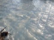 МОСВ: Авария в хвостохранилище „Бенковски 2“ е причината за замърсяването на р. Тополница