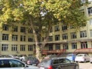 9 заразени медици от Интензивното в Пазарджик