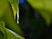 Какво време ни очаква в сряда?