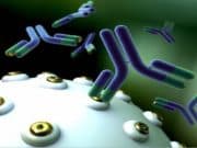 Учени: Коктейл от антитела предотвратява и лекува COVID-19