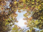 Топъл понеделник ни очаква