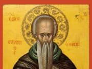 Църквата почита днес Преп. Евтимий Нови