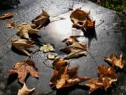 Облачно и дъждовно, започва захлаждане