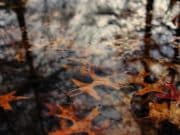 Какво ще е времето през уикенда