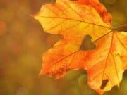 Какво ще бъде времето днес