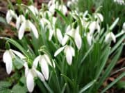 Какво ще е времето в четвъртък?