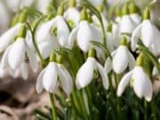 И днес пролетни температури