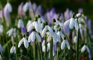 Слънчево ще е времето днес, утре започва захлаждане