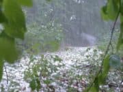 Проливен дъжд, гръмотевични бури и условия за градушки в Югозападна България