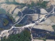 С общи усилия предотвратиха пожар в боровата гора над Стрелча