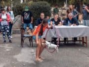 С много емоции и при голям интерес премина „Парадът на домашните любимци“ в Панагюрище