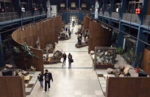 Изложба за раждането на Луната се открива в Националния музей „Земята и хората“. Фондация „Асарел“ e спонсор от българска страна