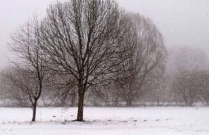 8-и март идва с виелици, облаци и сняг сняг