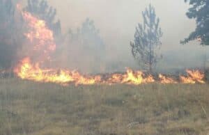 Хеликоптер гаси пожара в Пазарджишко, огънят е обхванал около 1000 дка