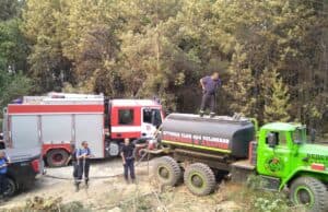 Пожарът край панагюрското село Елшица е напълно овладян (СНИМКИ)