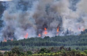 Продължава гасенето на пожара край Елшица, очаква се овладяването му